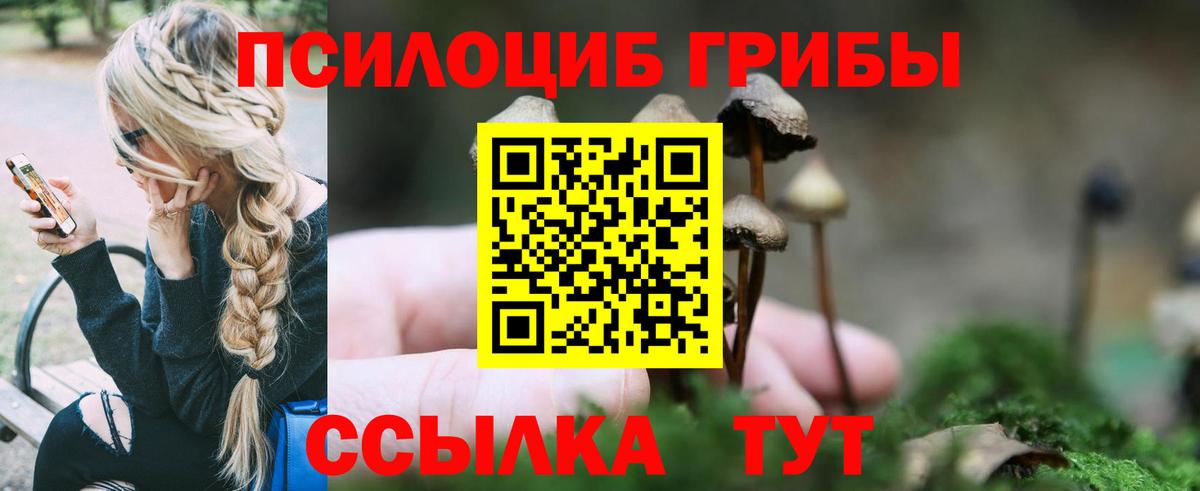 Псилоцибиновые грибы MAGIC MUSHROOMS Электросталь